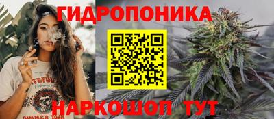 jwh Ирбит